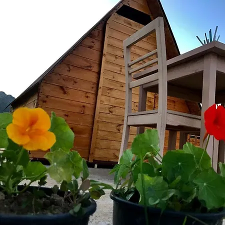 Camping Violet Village *